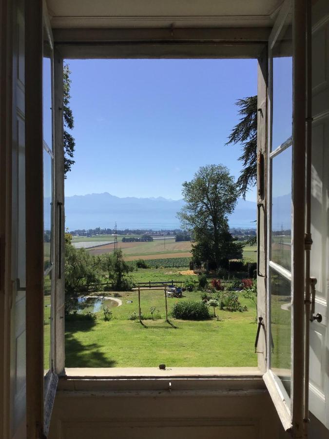 B&B Chateau De Denens Buitenkant foto